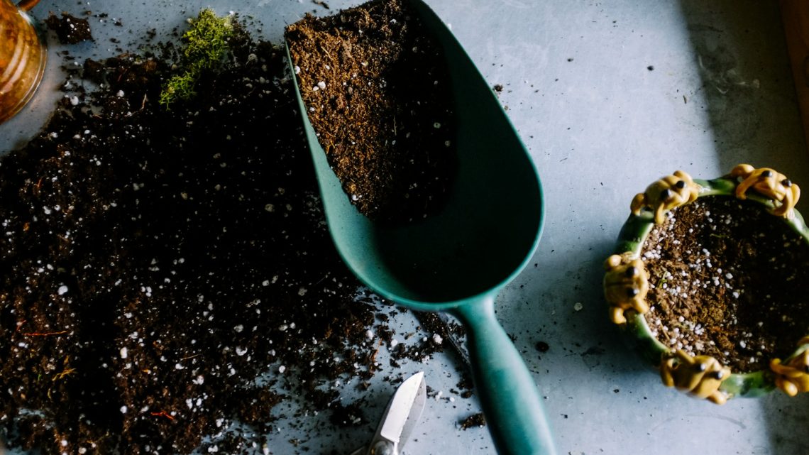 De charme van je droomtuin met Postmus realiseren